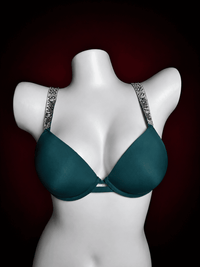 Rhinestone Shine Strap Plunge Push-Up Bra – Deep V Smooth Molded Cup