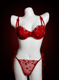 Heart Embroidered Sheer Mesh Push-Up Bra & Side-Tie Thong Set – Valentine Lingerie Set