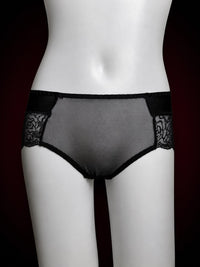 Midnight Veil Sheer Lace Brief