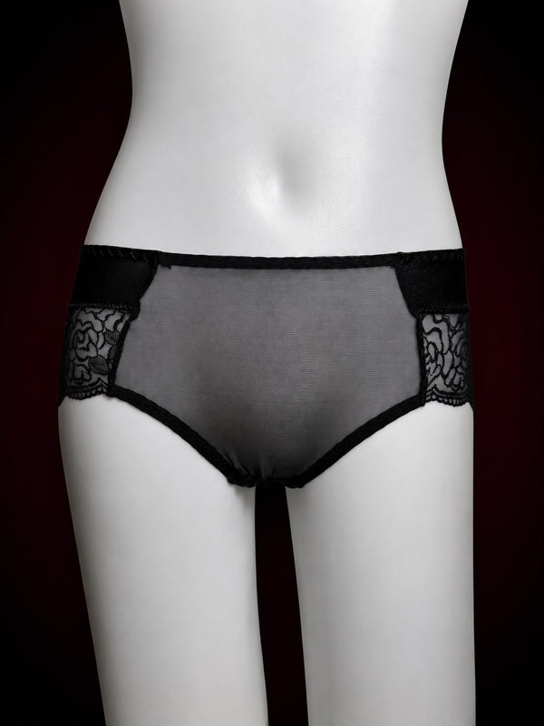 Midnight Veil Sheer Lace Brief
