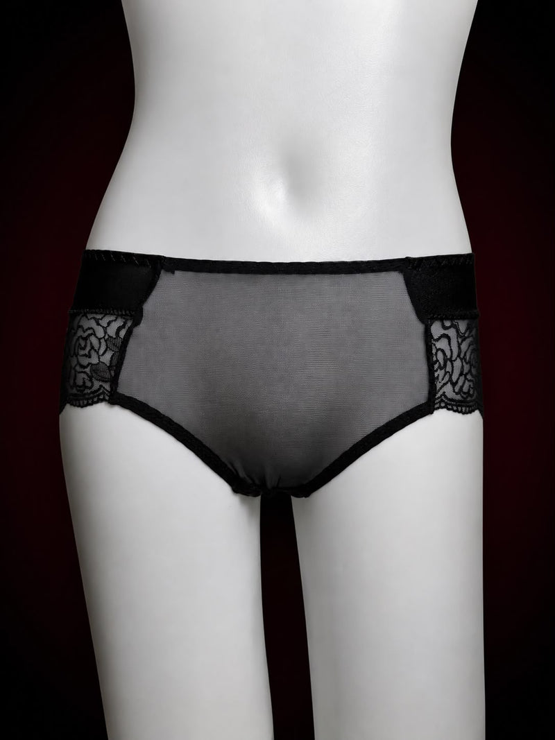Midnight Veil Sheer Lace Brief