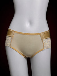 Midnight Veil Sheer Lace Brief