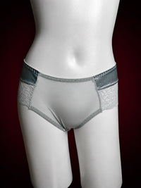 Midnight Veil Sheer Lace Brief